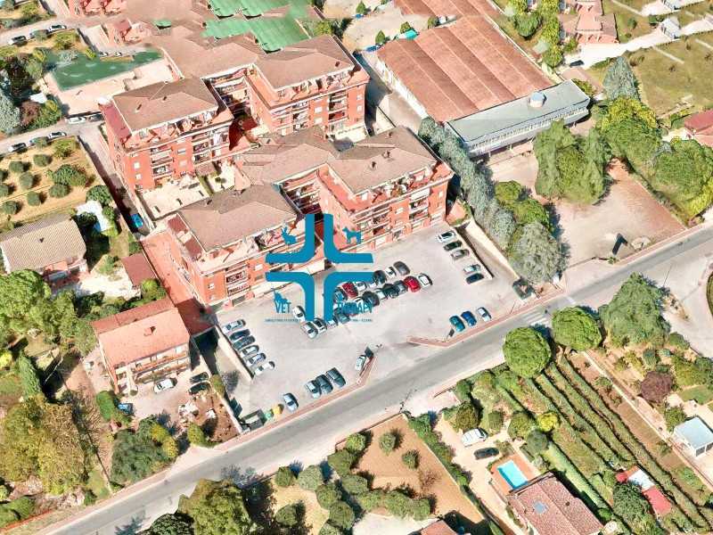VET THERAPY ambulatorio veterinario Castel del Piano Perugia
